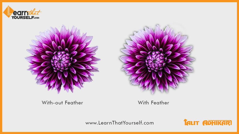 two examples for without feather and with feather cut out in photoshop